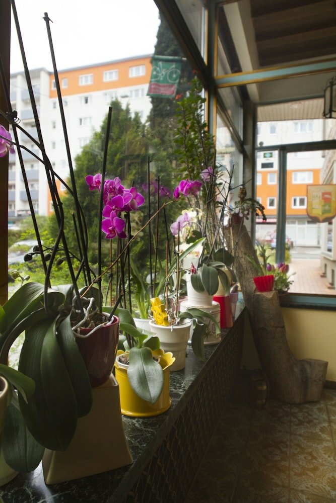 Фото Hotel Hohenstauffen