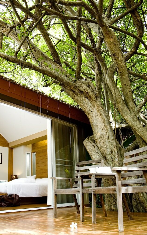 Фото Veranda Lodge