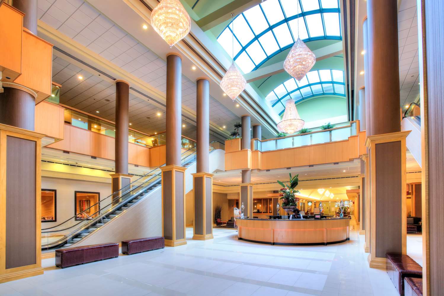Фото Florida Hotel & Conference Center in the Florida Mall