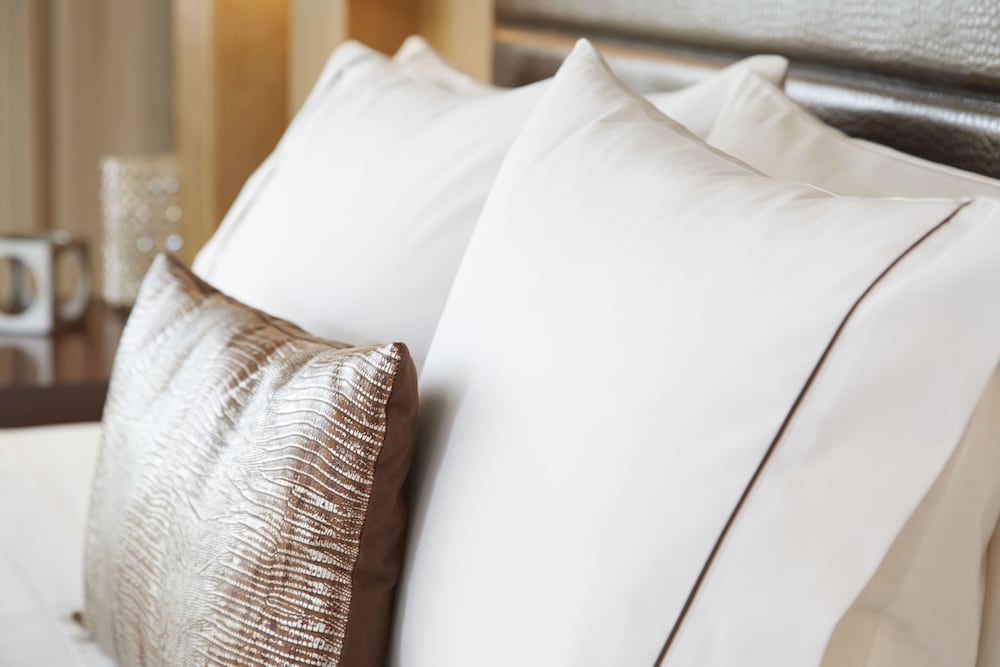 Фото Renaissance St. Louis Airport Hotel