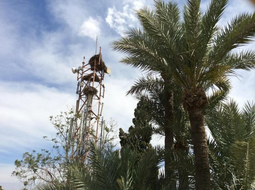 Фото Hotel Chems