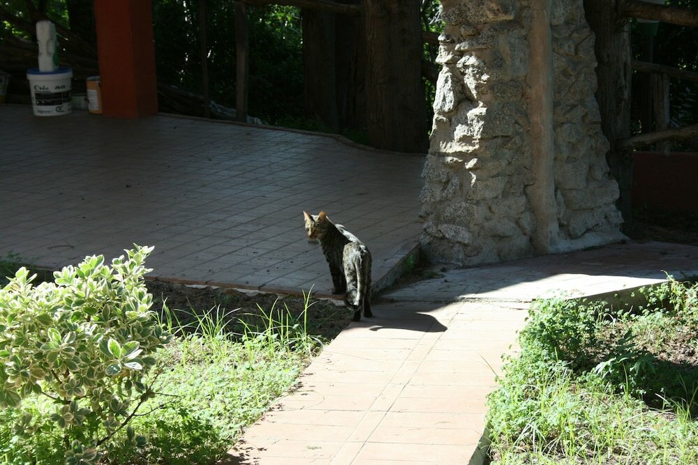Фото Agriturismo Ruralia