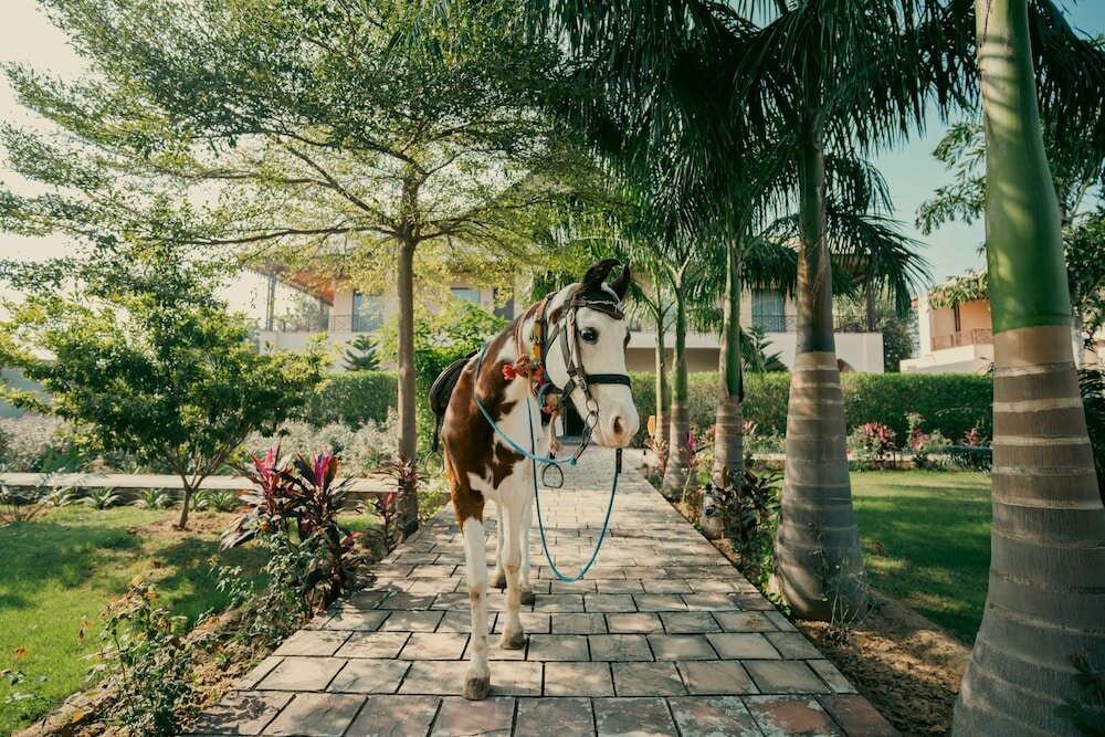 Фото Abhyaran Resort Ranthambore