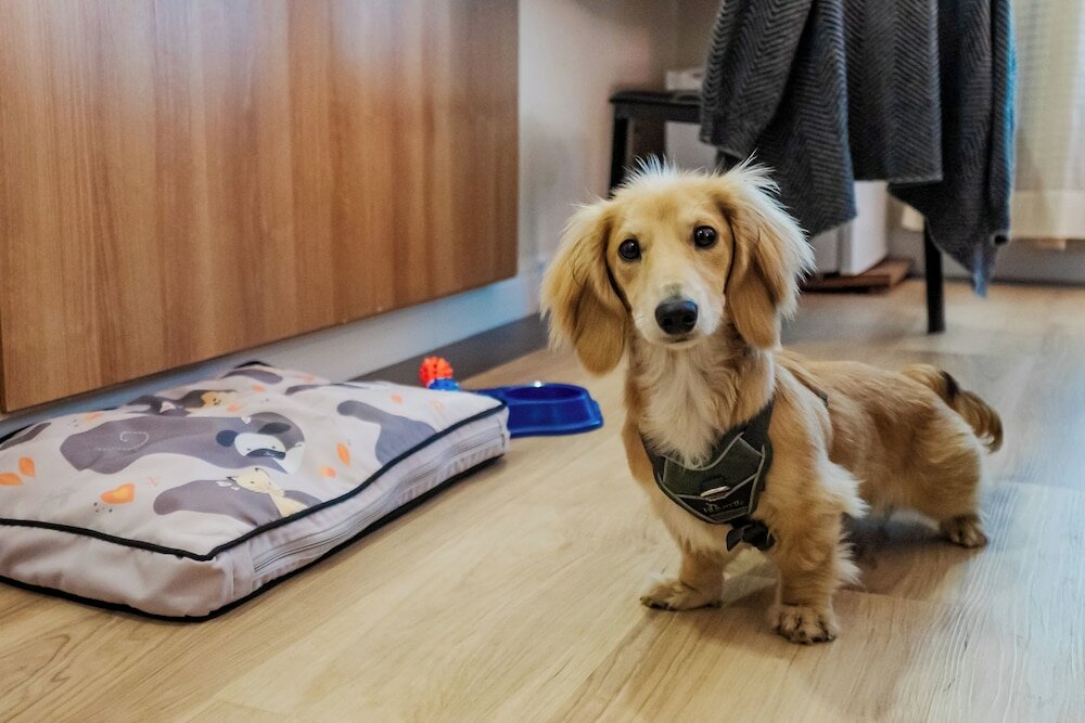 Фото Intercity Vinhedo