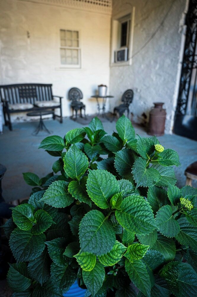 Фото Gunn House Hotel