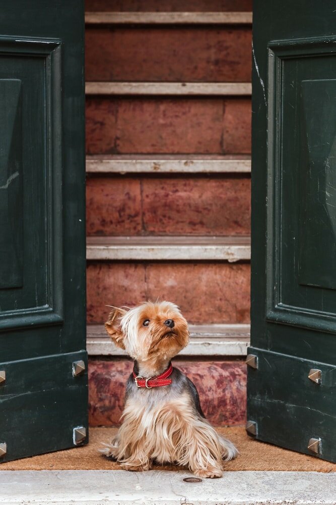 Фото Teichnersuite