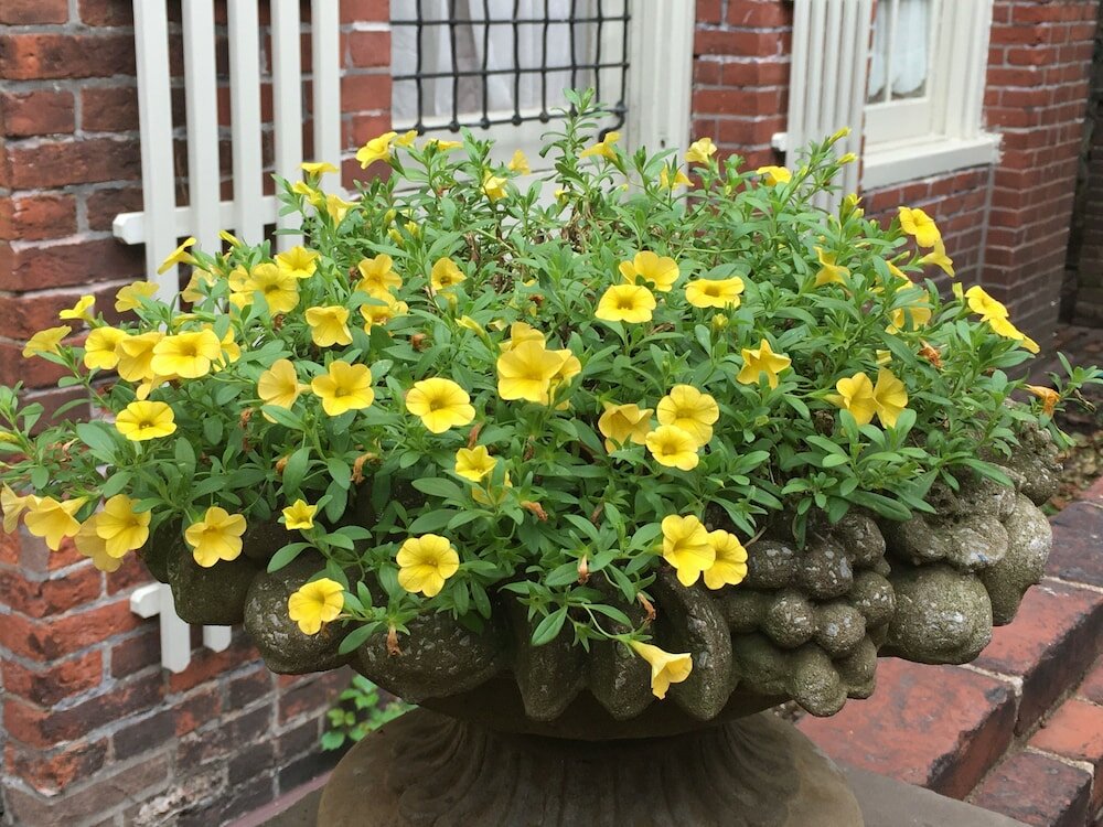 Фото Morris House Hotel