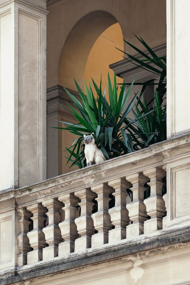 Фото Hotel Gran Duca Di York