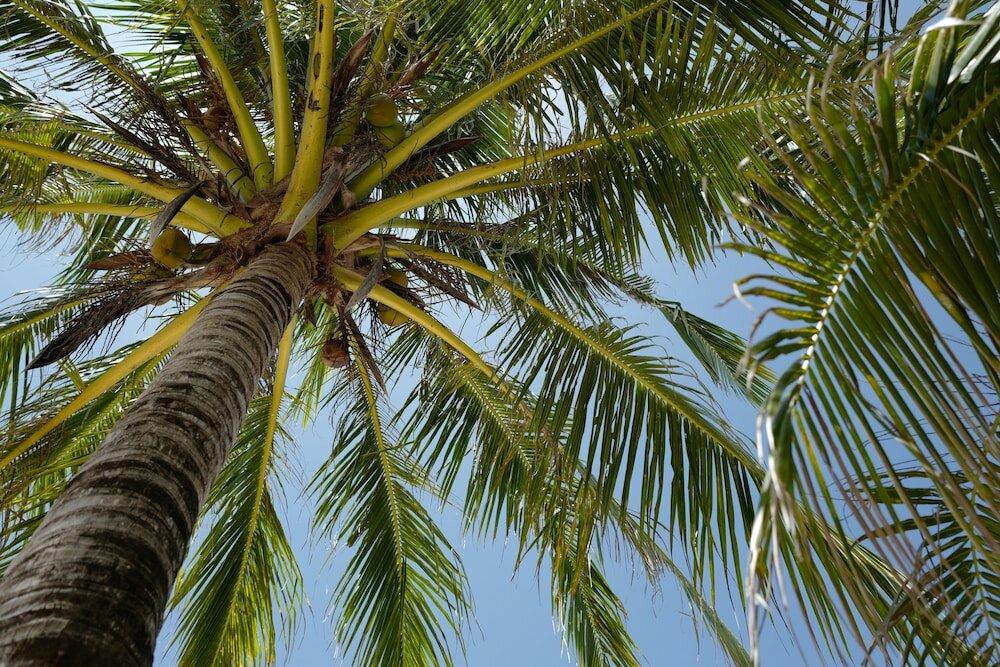 Фото Nature Beach Resort