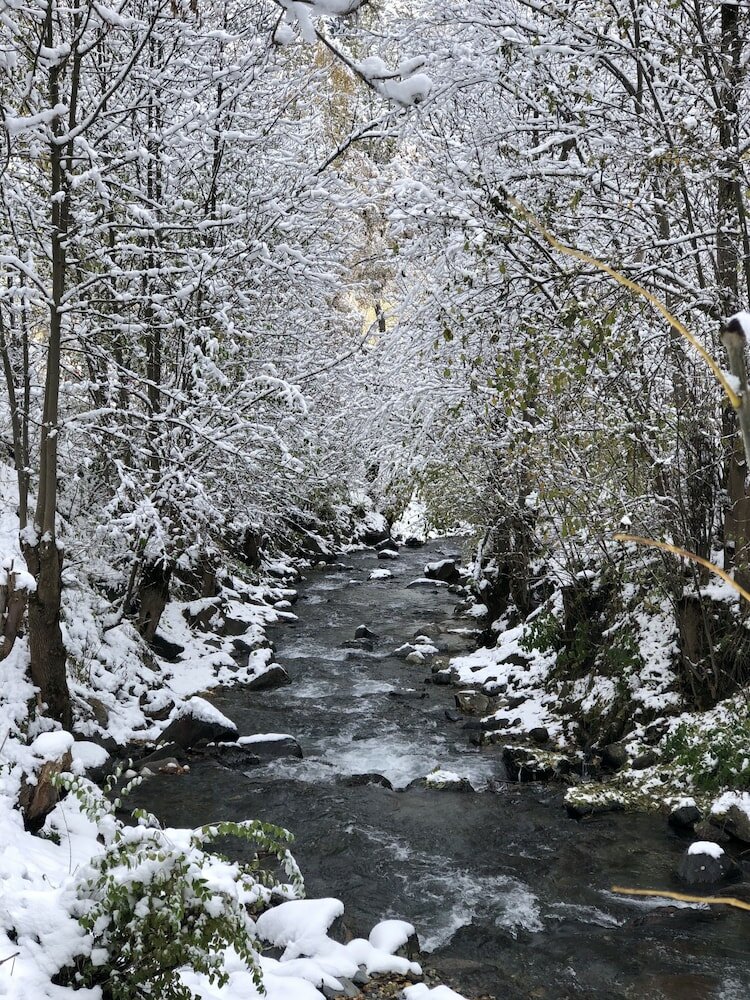 Фото Hotel Palarine