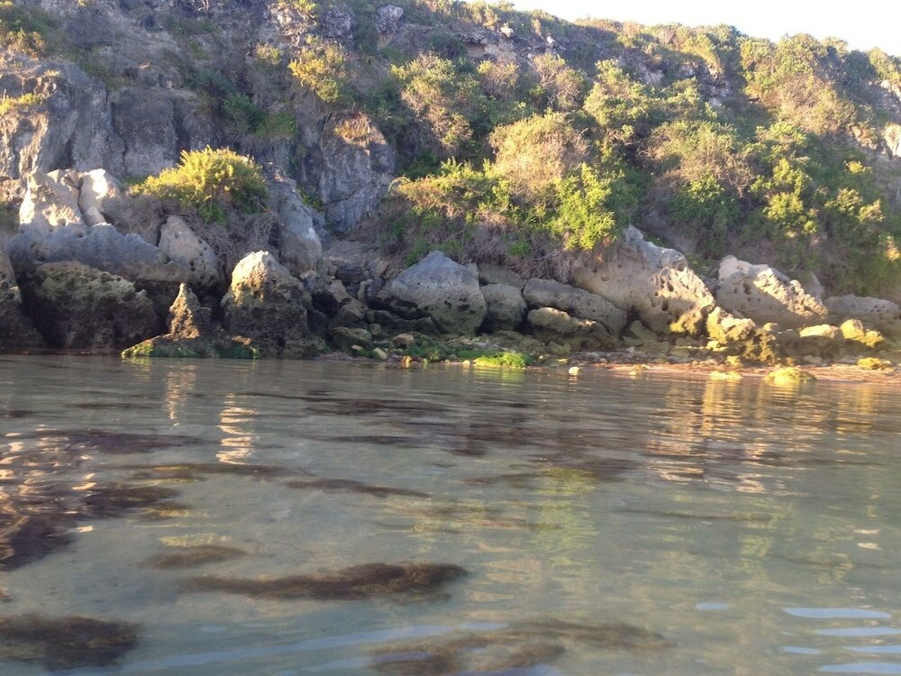 Фото Sandra's Guest House