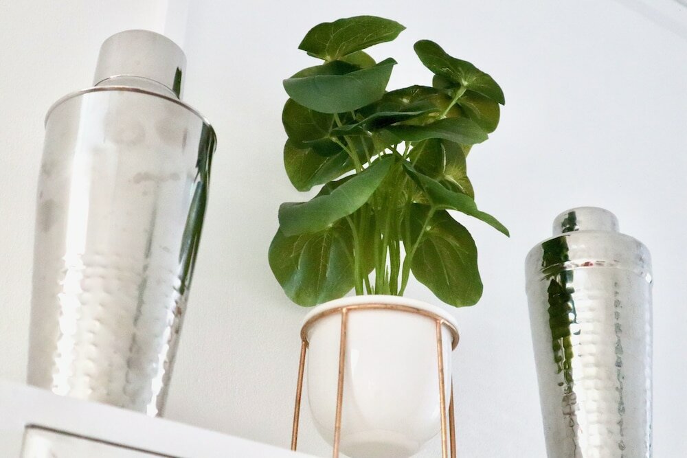 Фото Colson House