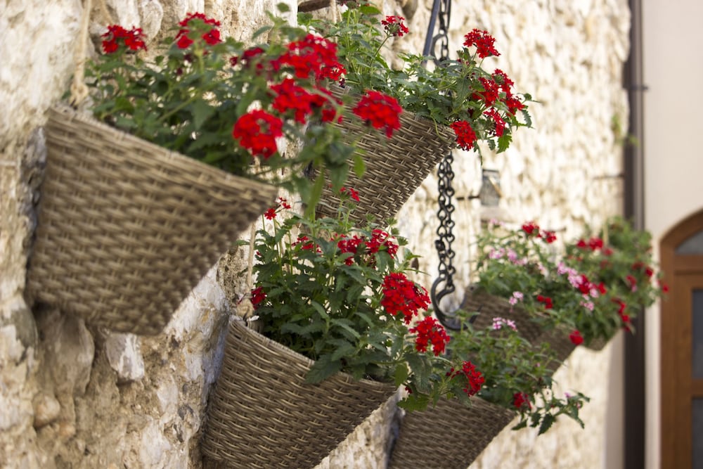 Фото Villa Divani