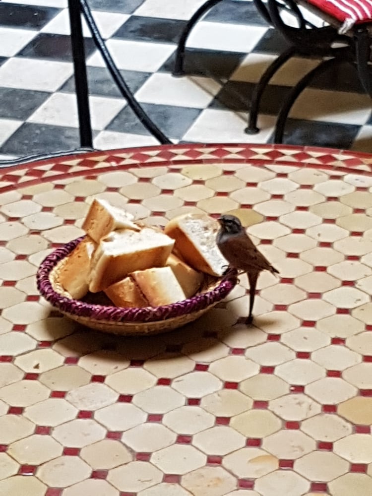 Фото Riad Sidi Magdoul