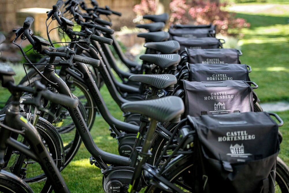 Фото Castel Hörtenberg