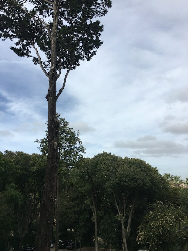 Фото Casa do Príncipe