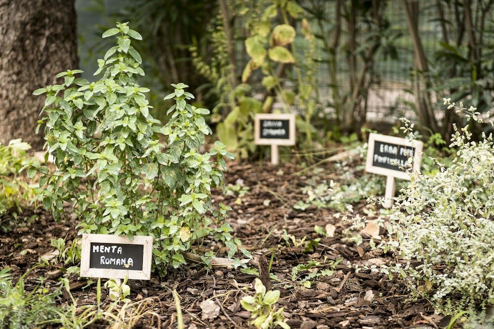 Фото Occidental Aurelia