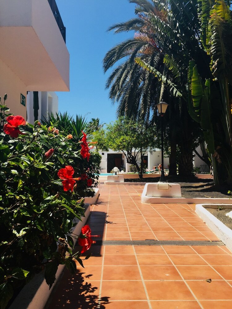 Фото Apartamentos Maribel