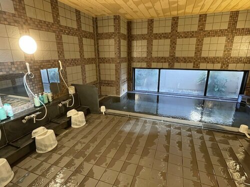 Гостиница Hotel Route-Inn Dai-Ni Ashikaga в Асикаге