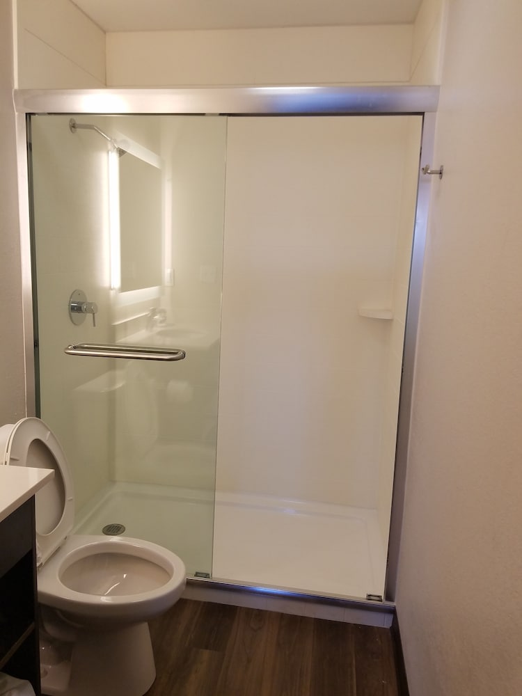 Фото Hotel South Tampa & Suites