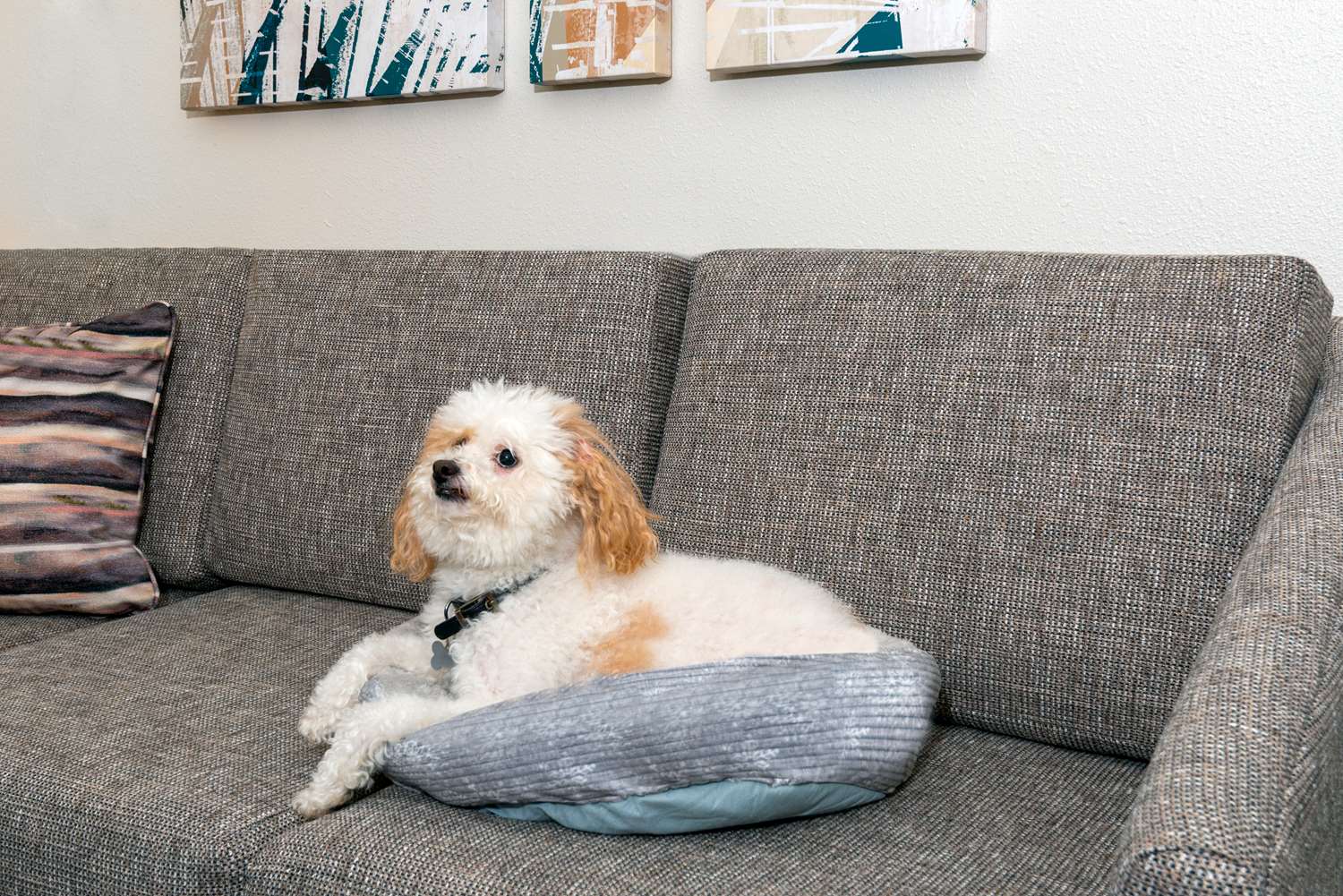 Фото Homewood Suites by Hilton Orlando-Nearest To Univ Studios