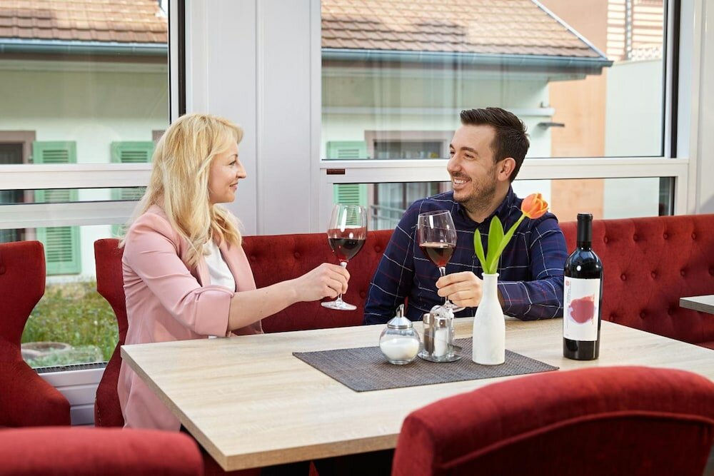 Фото Hotel Meyerhof Lörrach