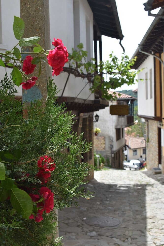 Фото Family hotel Slavianska dusha