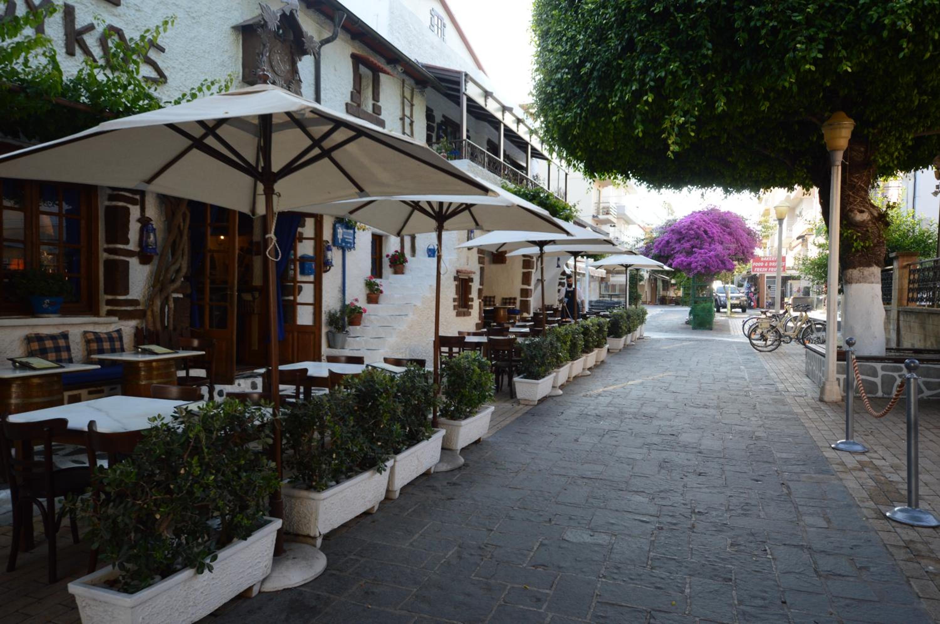 Фото 88044016365