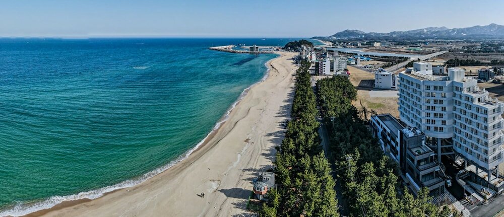 Фото PineАrt Label