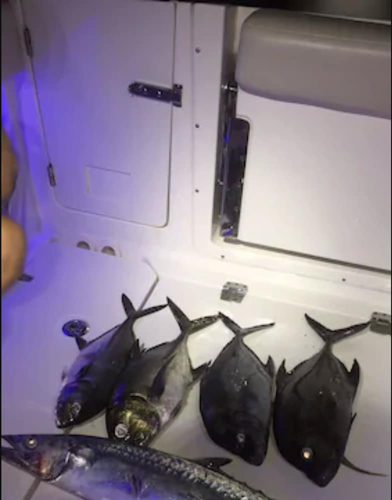 Фото Le Village Pomme Cannelle