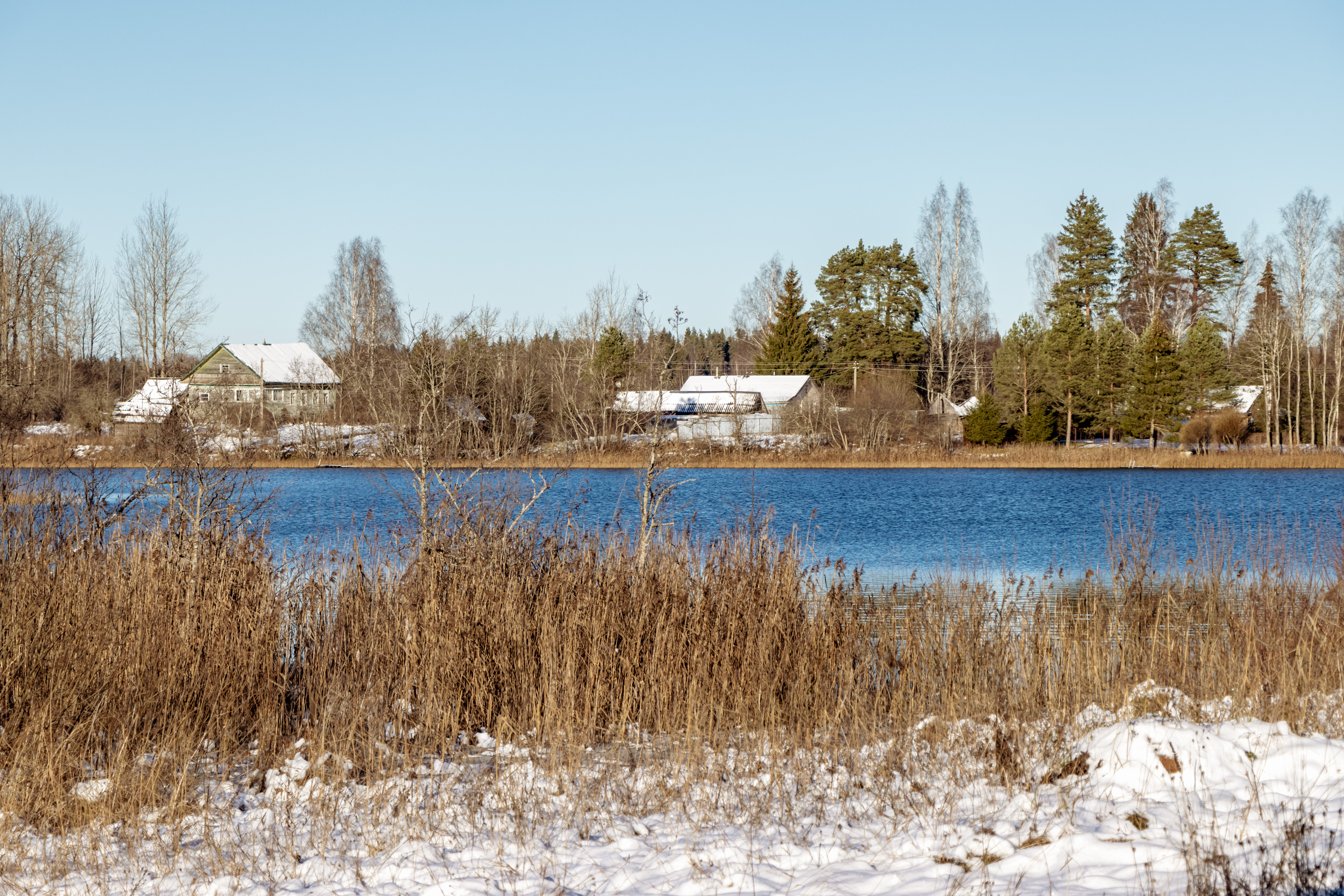 Фото Мыза Иногоща