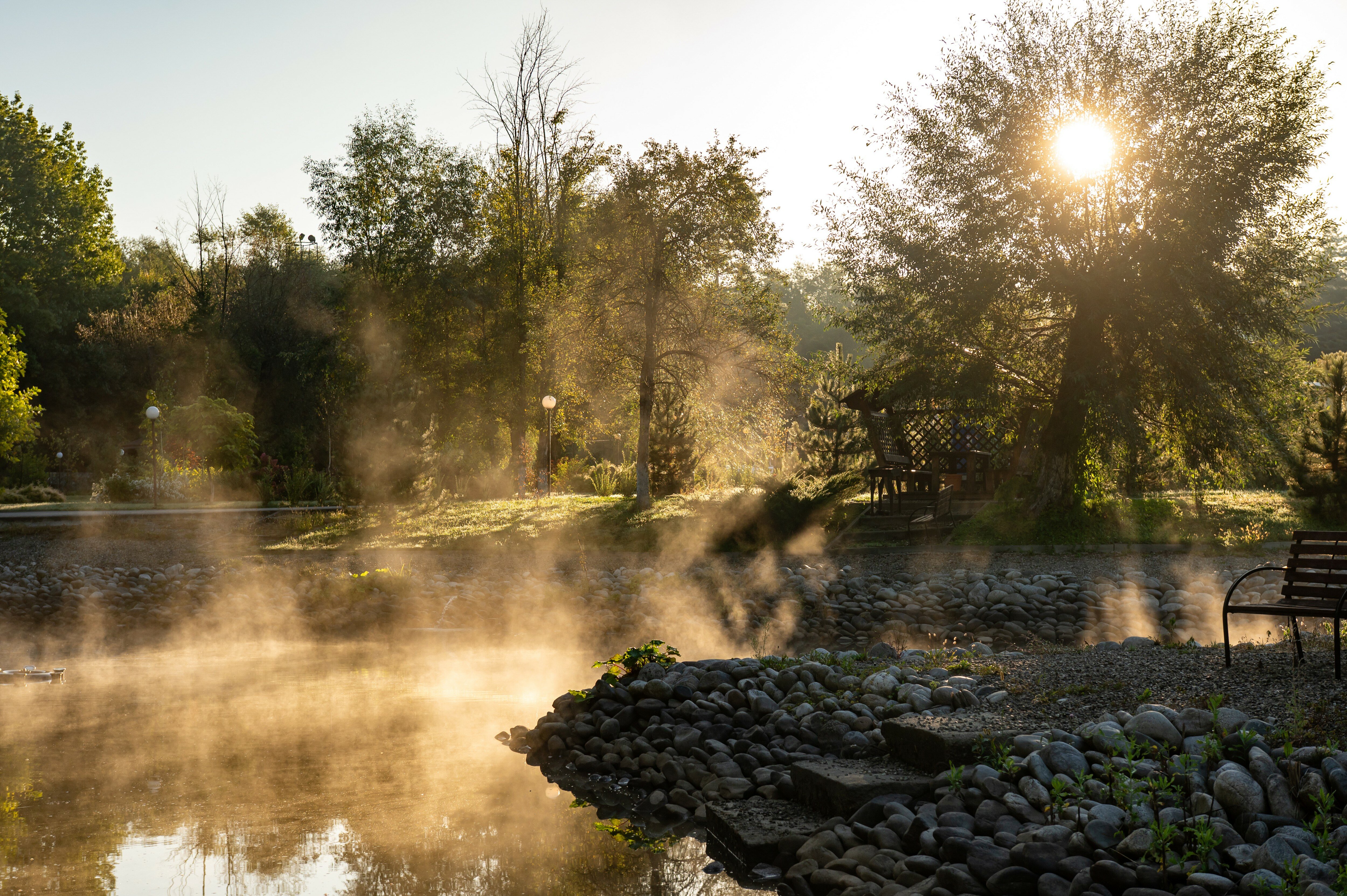 Фото Павлова поляна