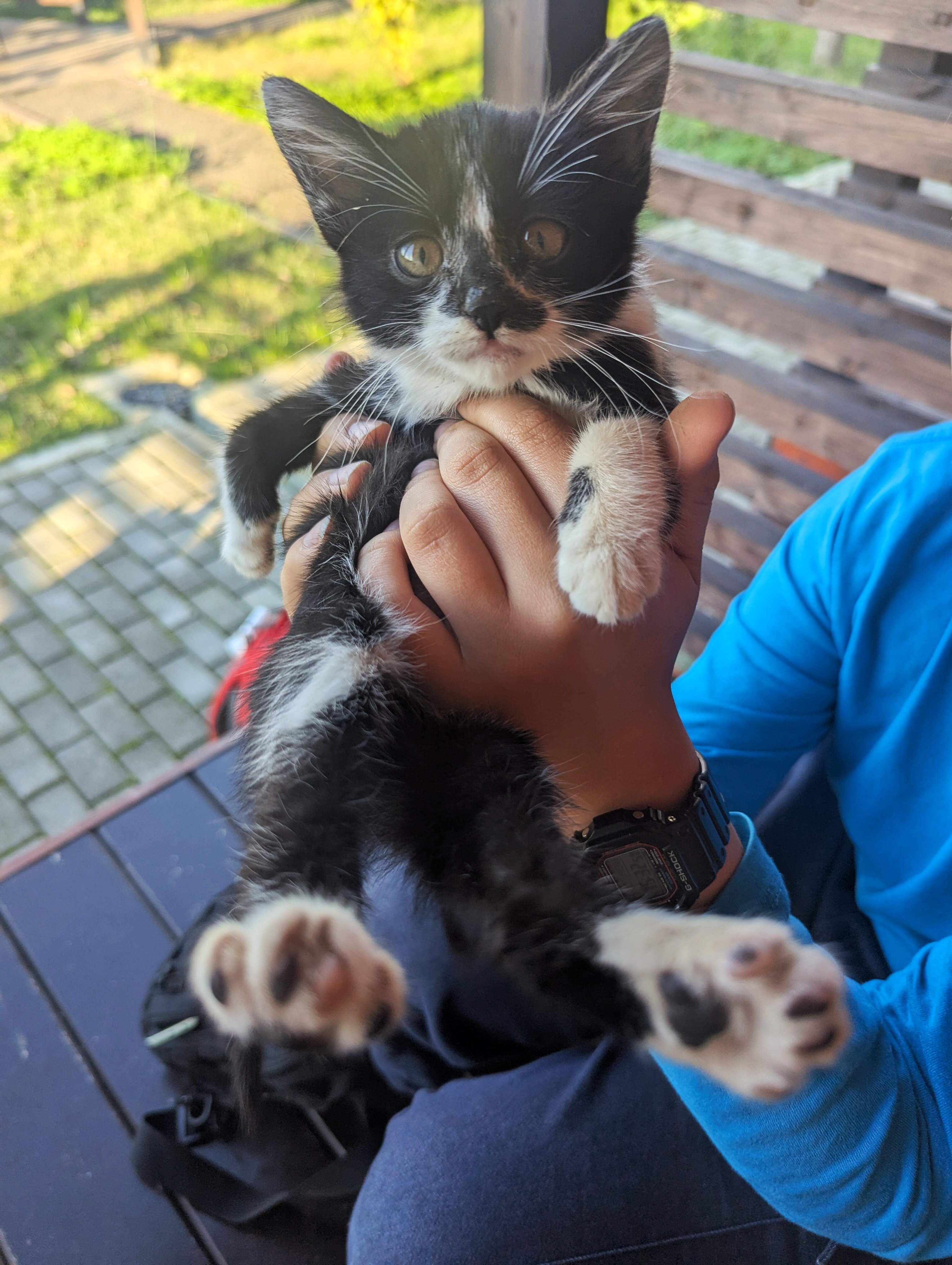 Фото San Siro cottage house