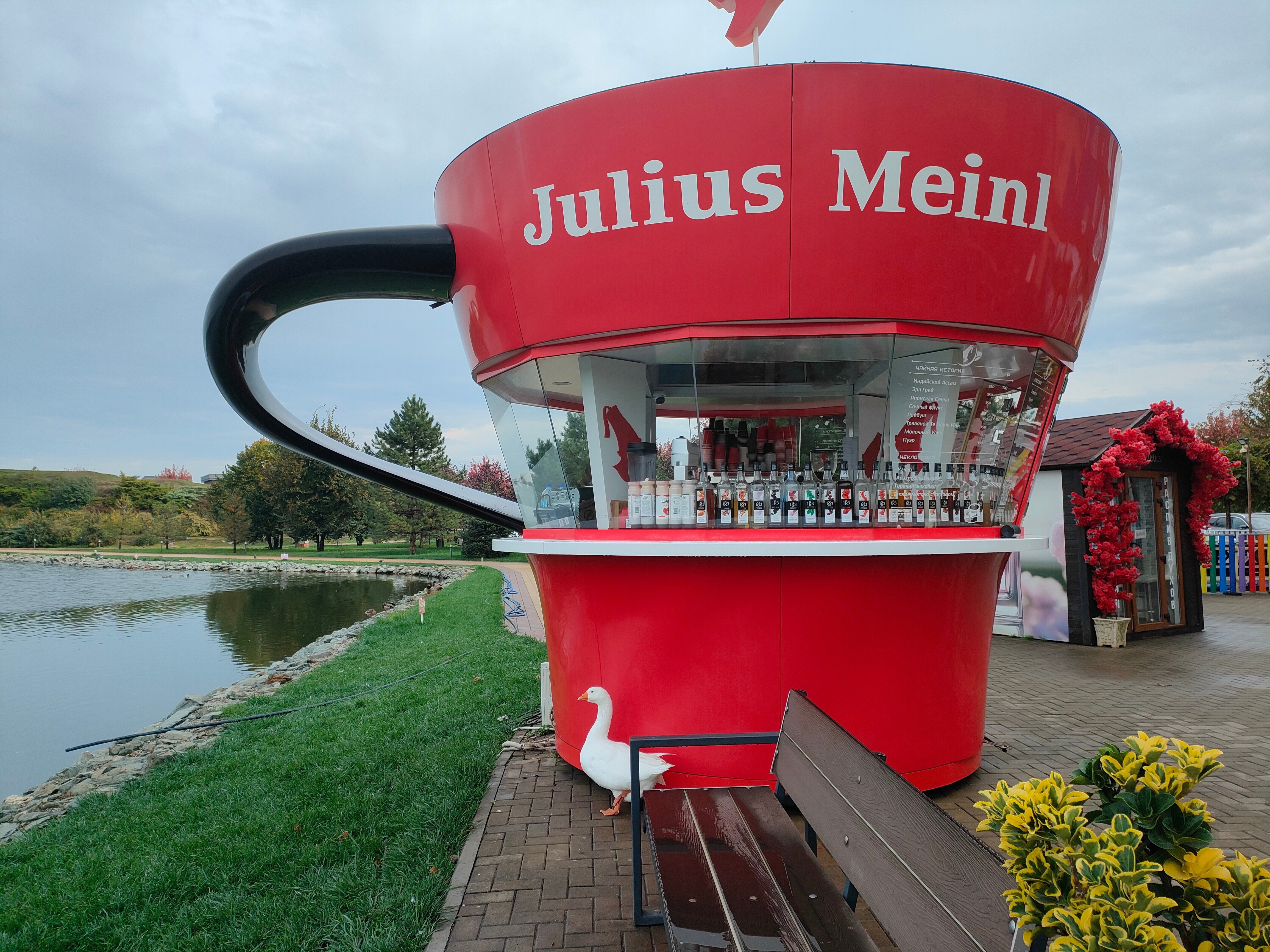 Фото Мюллер Бах