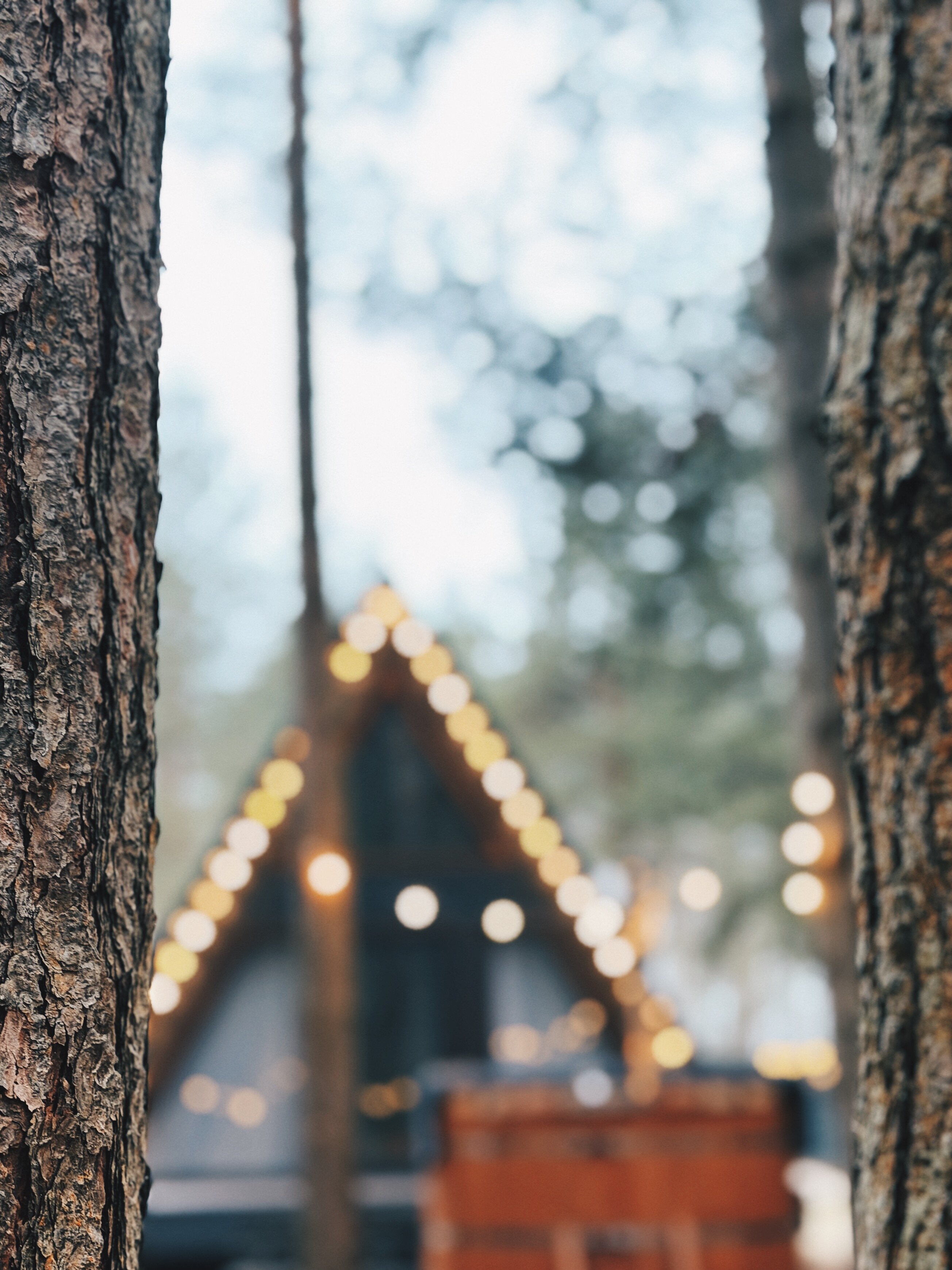 Фото Дубровка