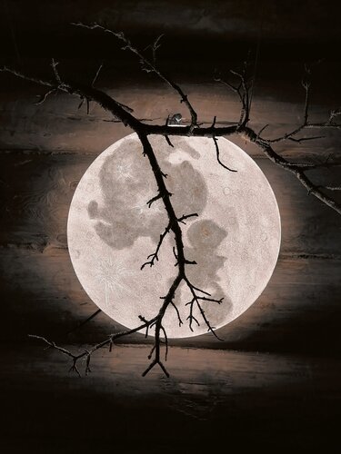 Дом в аренду Избушка Луна в Изборске