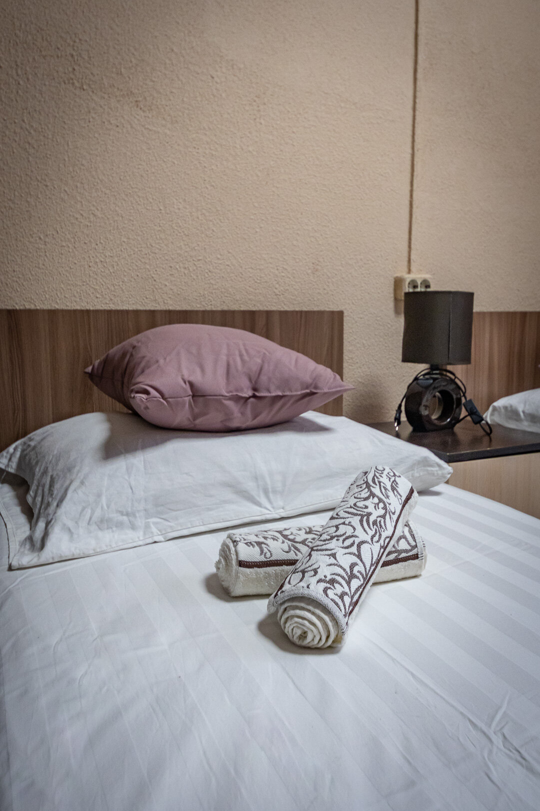 Фото Альбатрос