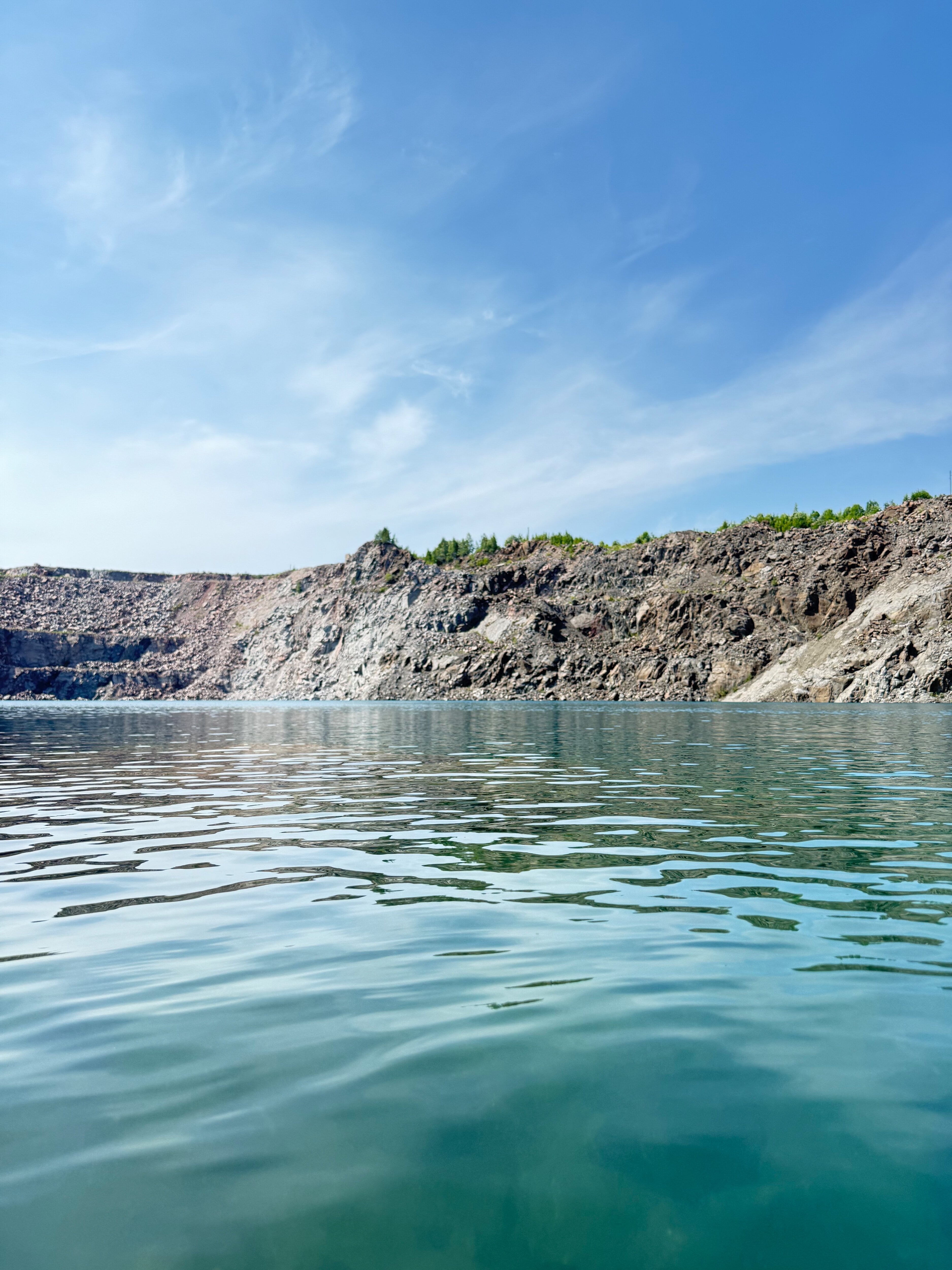 Фото Утиная история