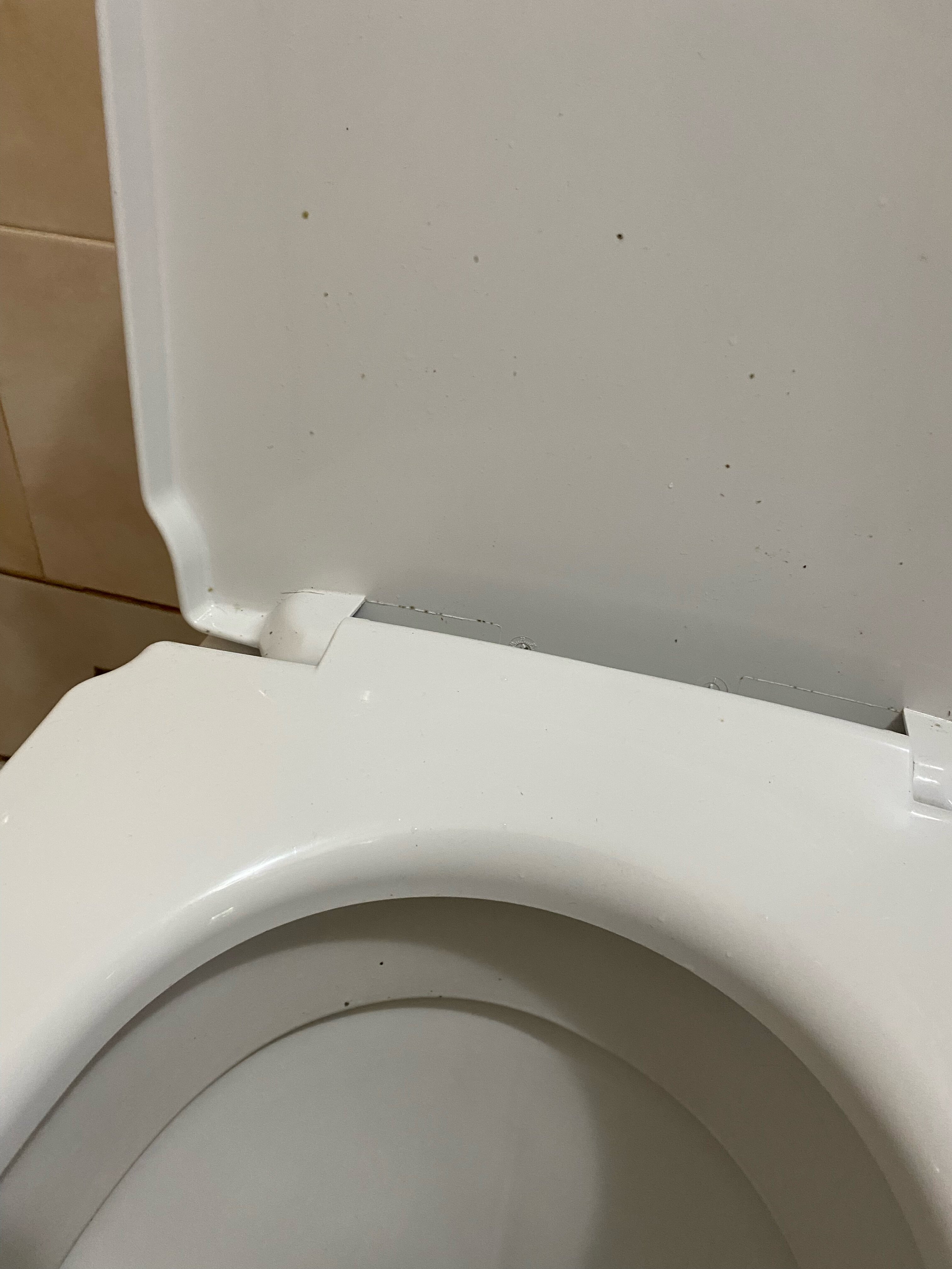 Фото У Комаровых