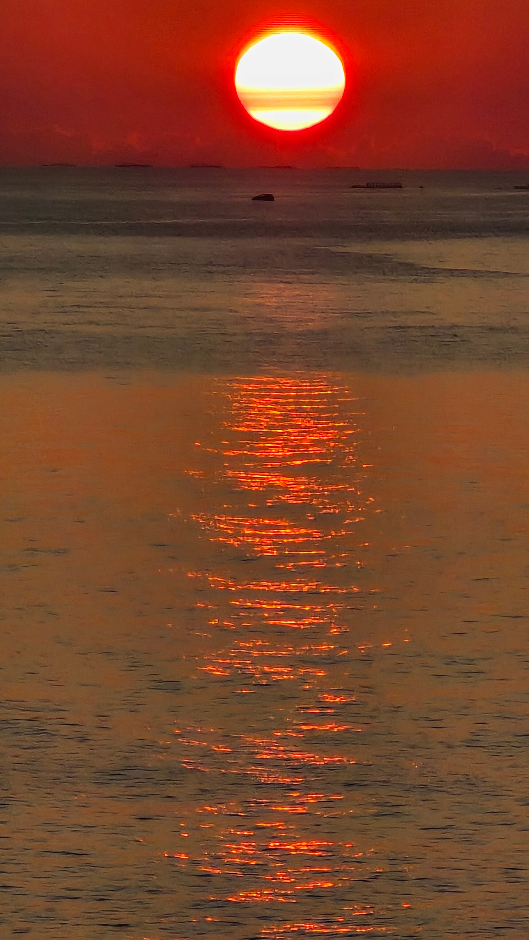 Фото Шанти Палас