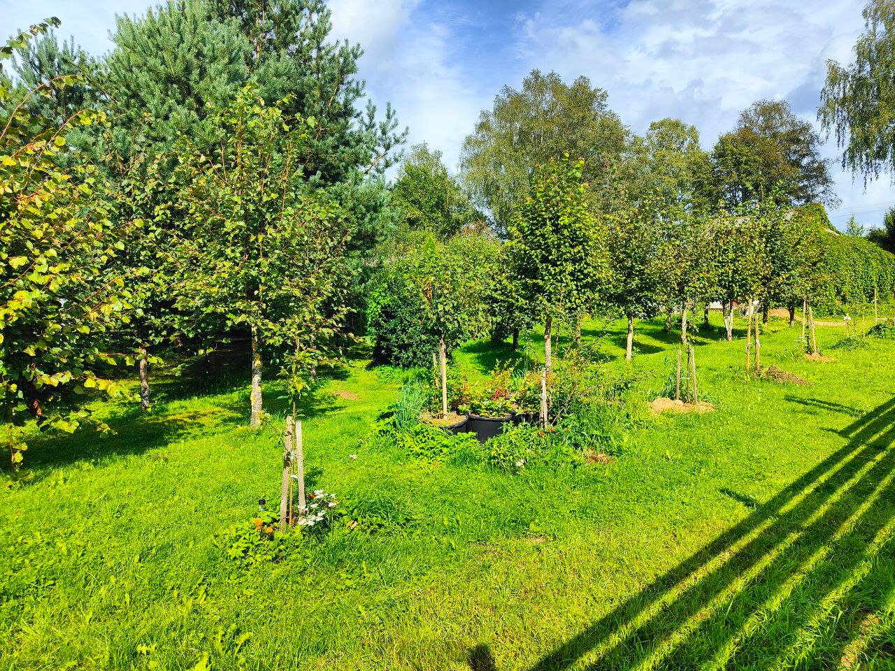 Фото Мечта Поэта