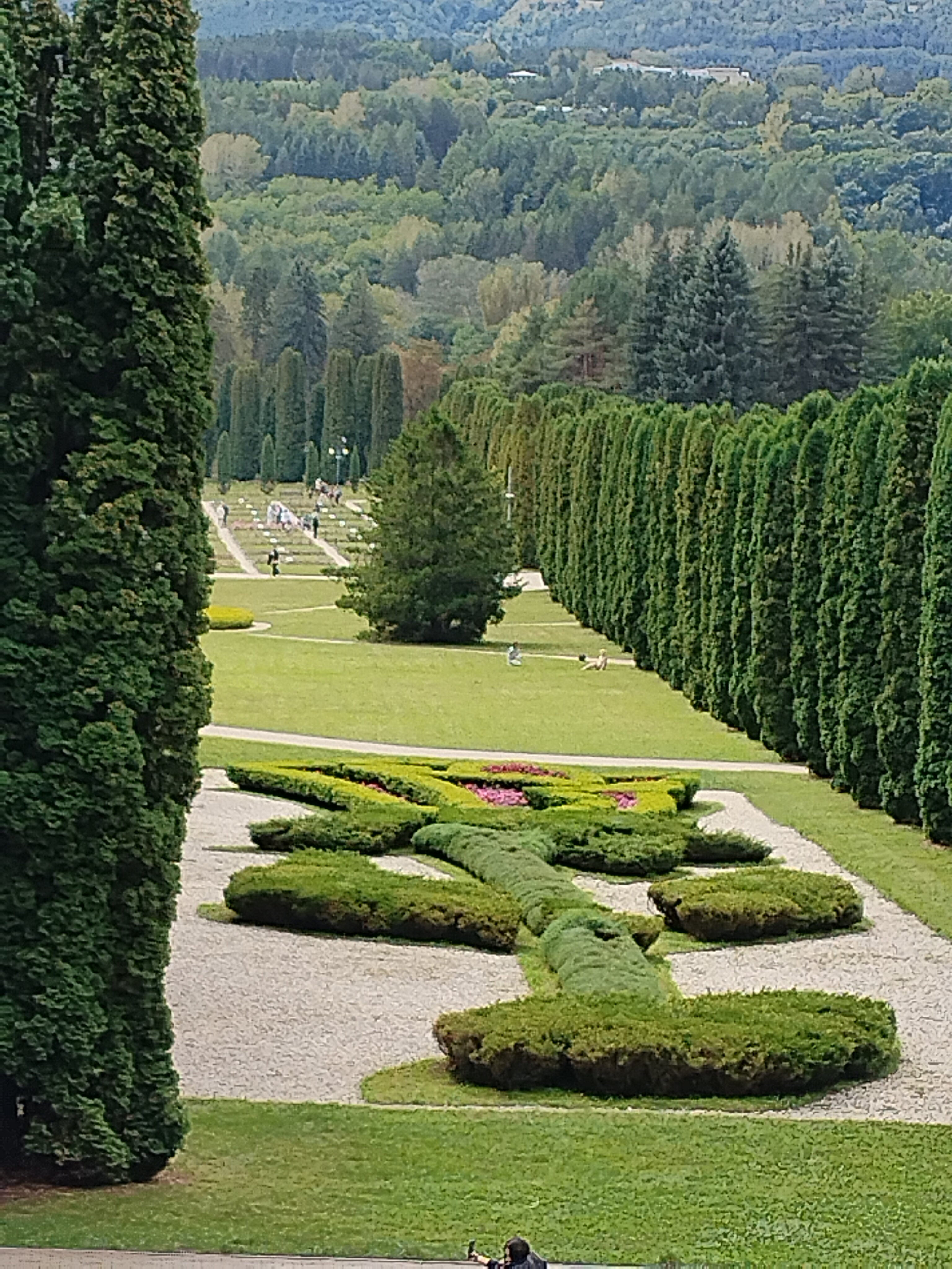 Фото Родина