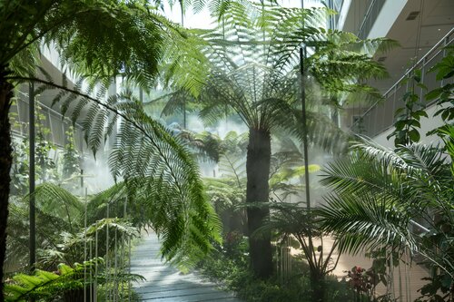 Гостиница Кристалл в Хосте