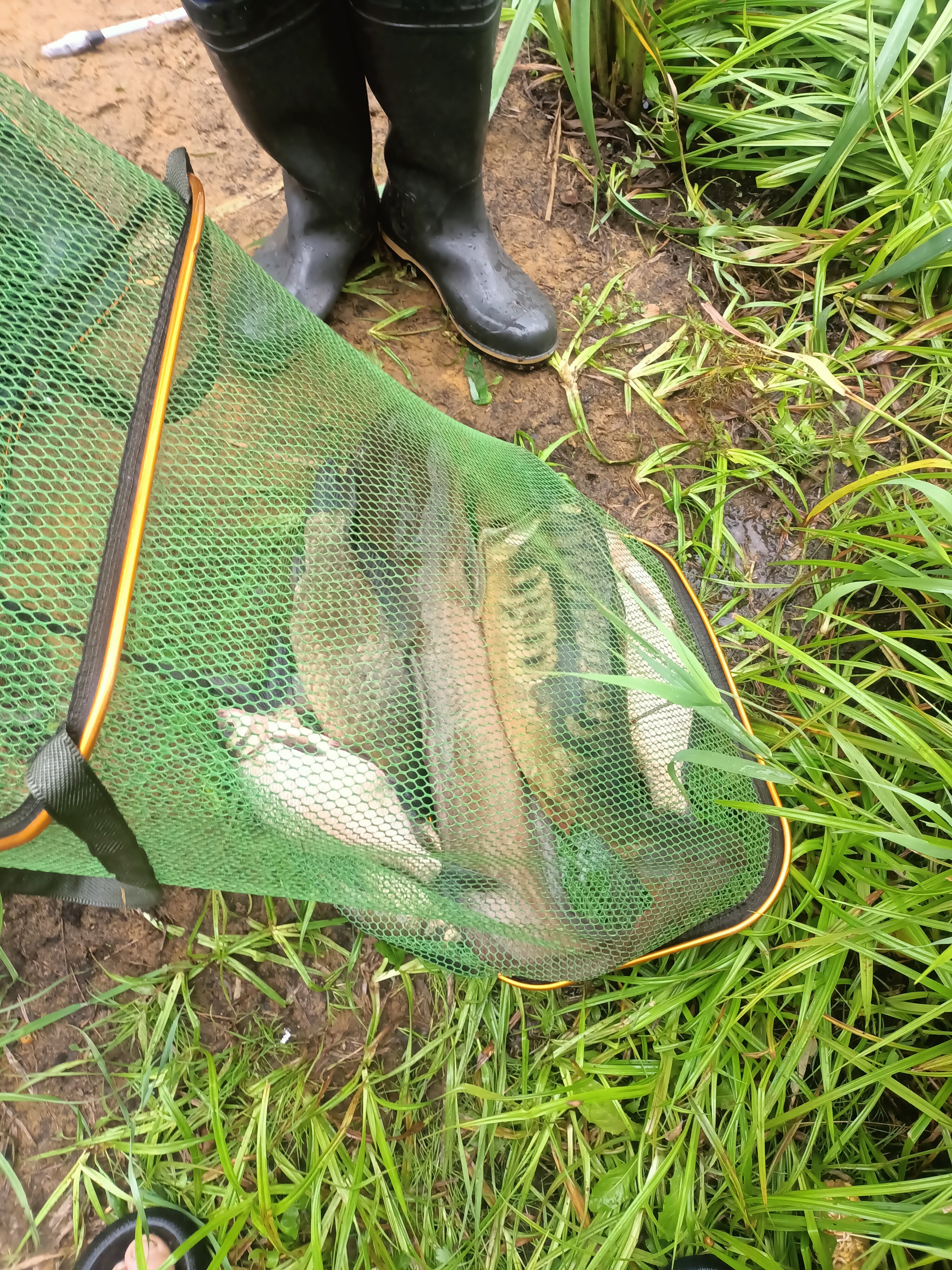 Фото Остров Аннушки