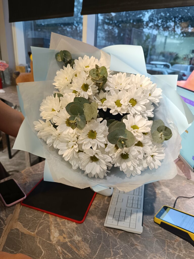 Михаил Островский