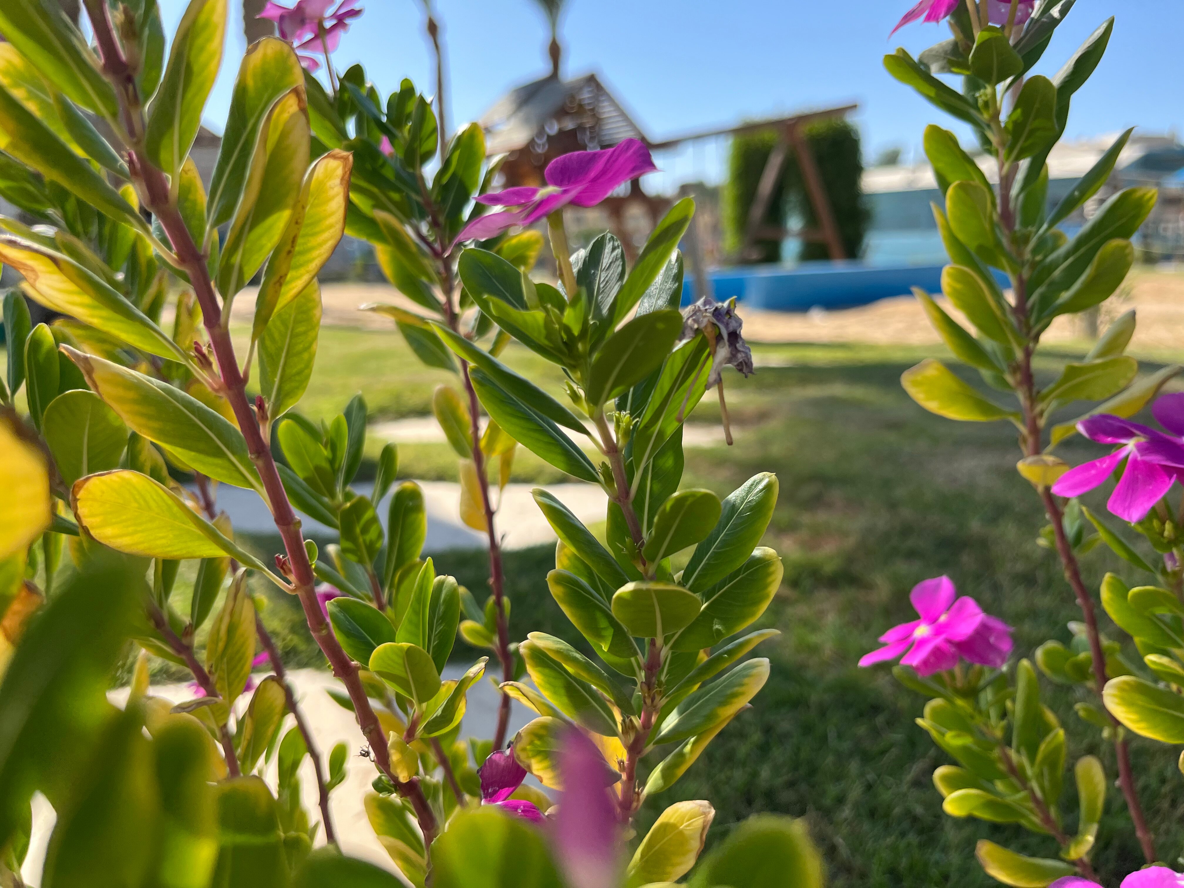 Фото Royal Lagoons Resort & Aquapark