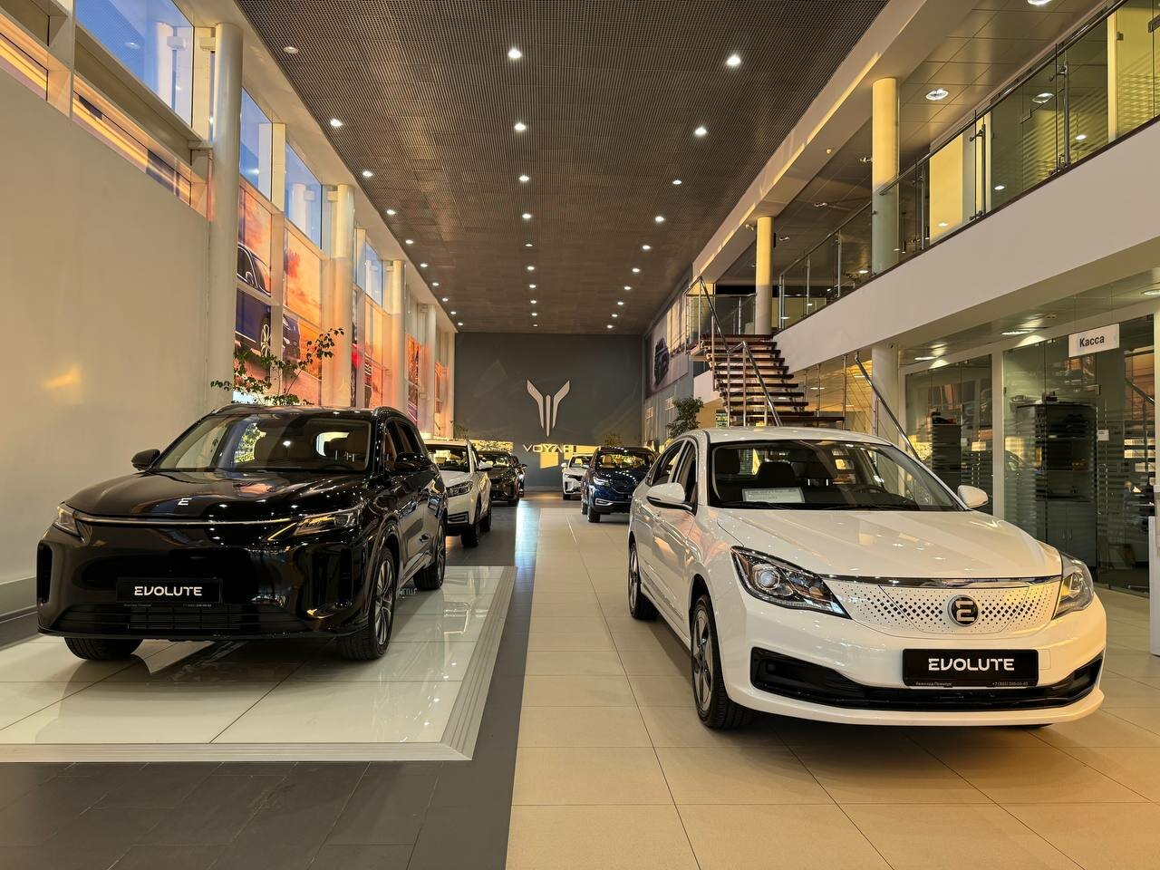 photo Авангард Evolute