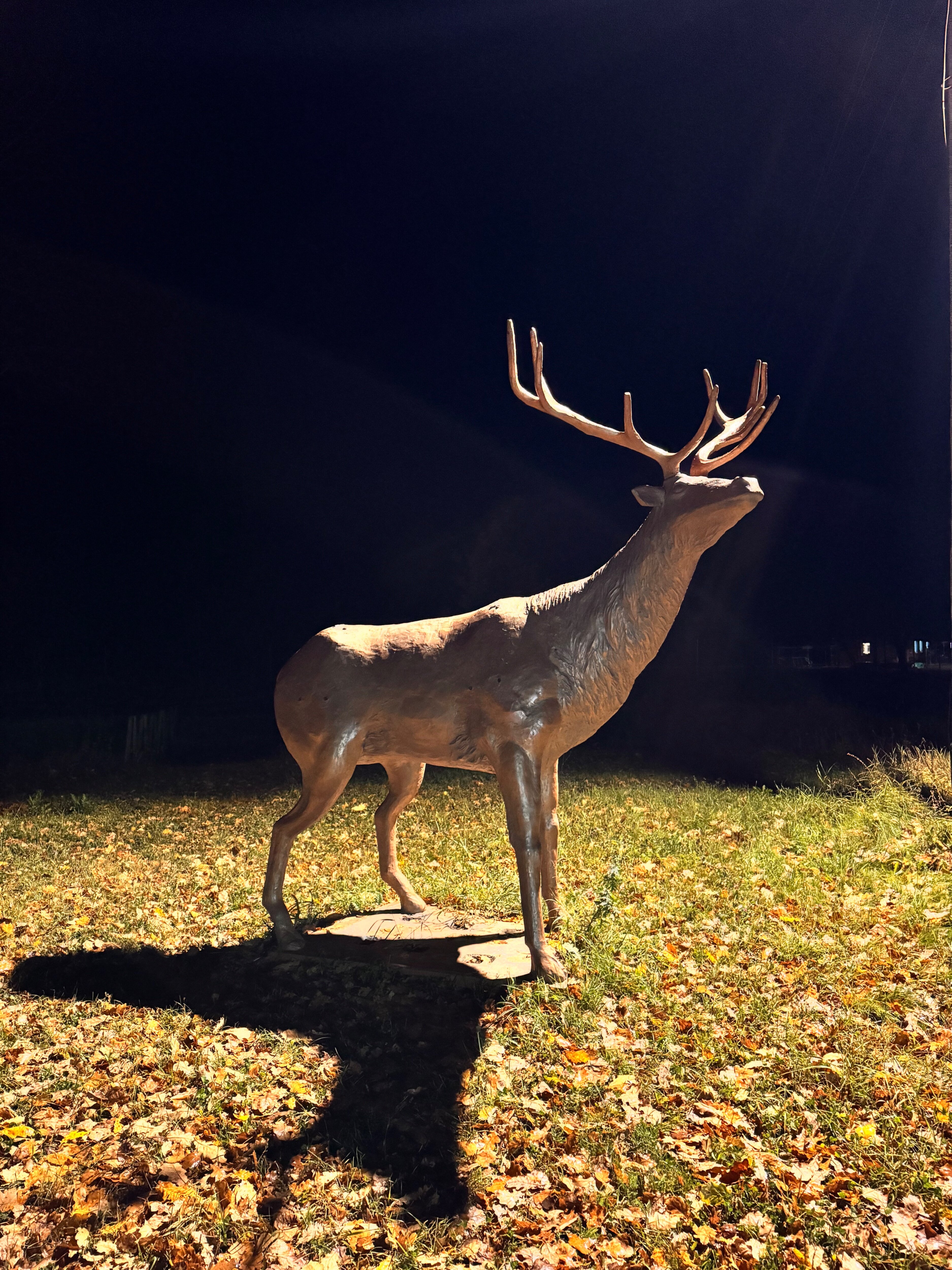 Фото Дом Лани