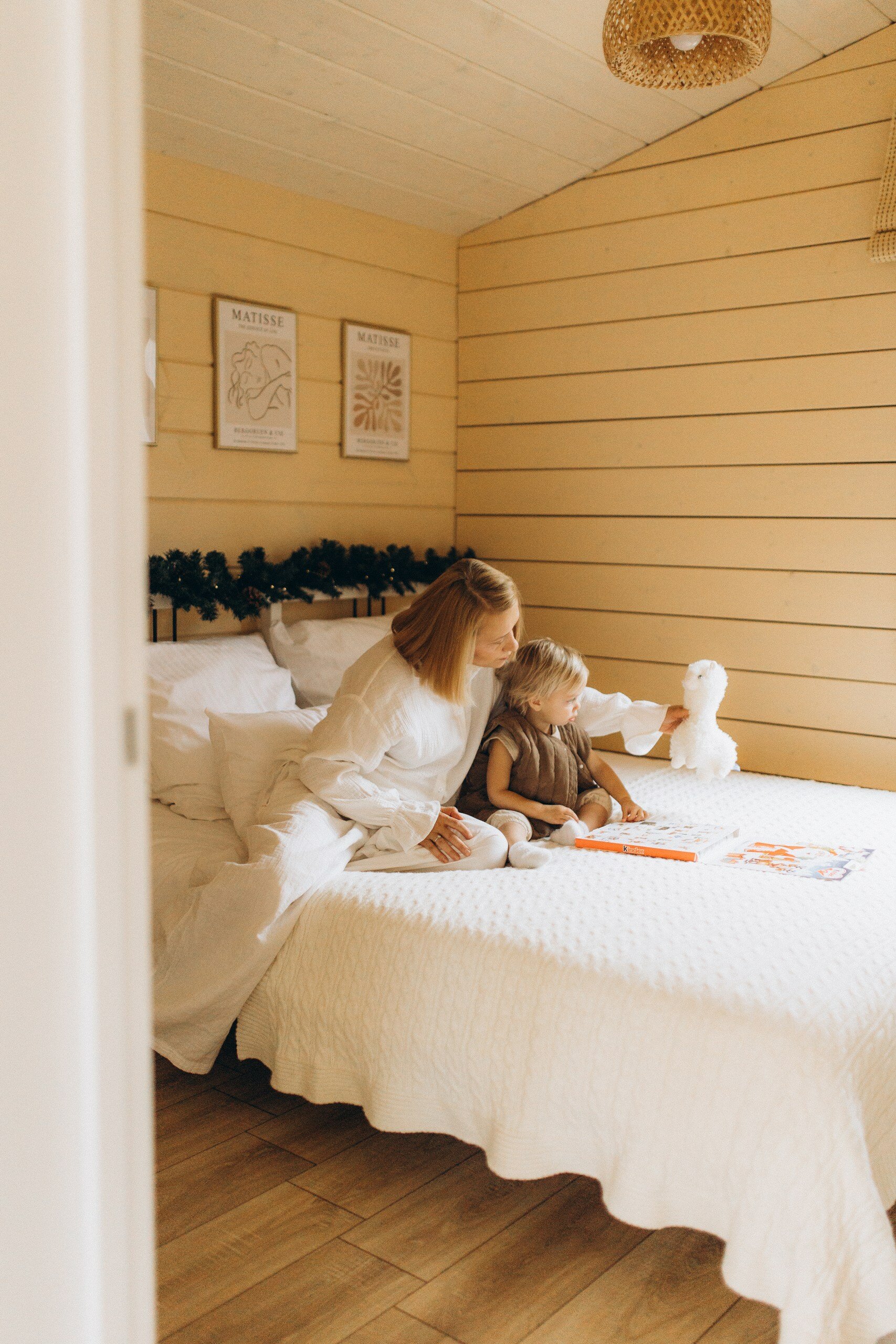 Фото Гуси House