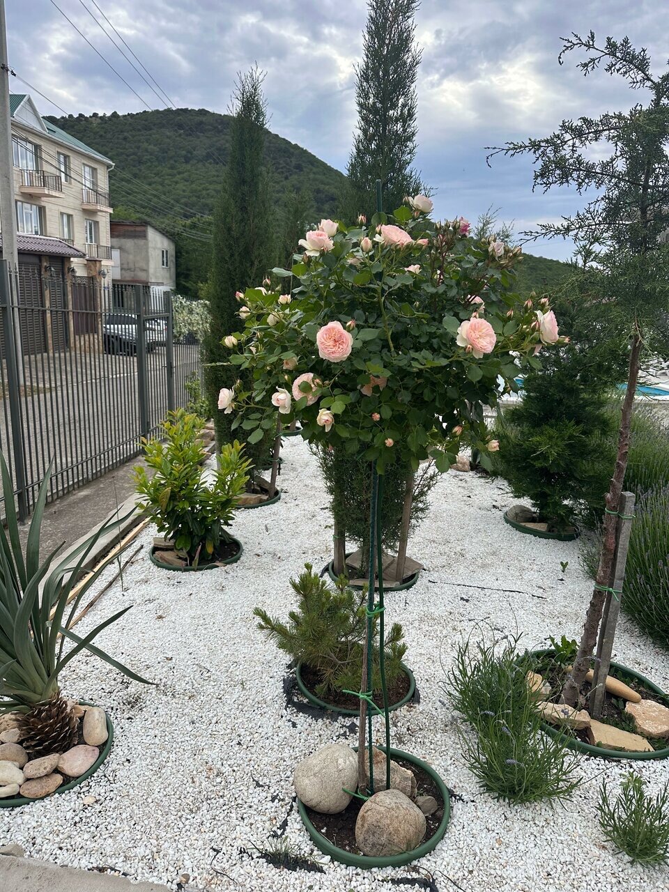 Фото Море и солнце